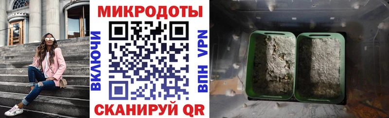 Галлюциногенные грибы прущие грибы  Облучье 